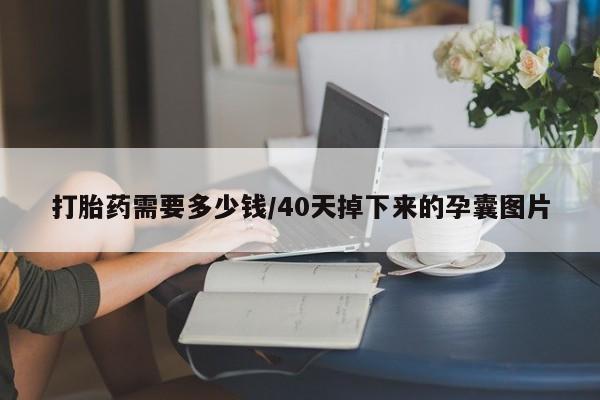 药流药货到付款打胎药需要多少钱/40天掉下来的孕囊图片